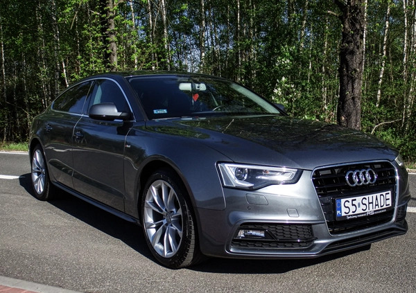 Audi A5 cena 81500 przebieg: 95173, rok produkcji 2016 z Bytom małe 667